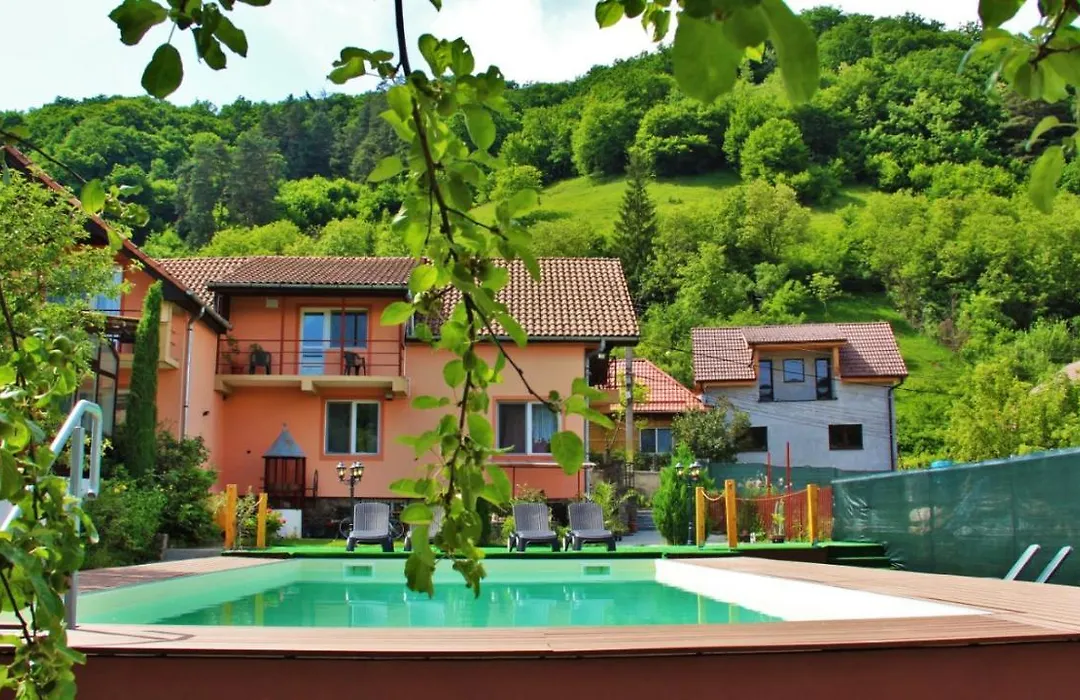 Pensiunea Sighisoara-1